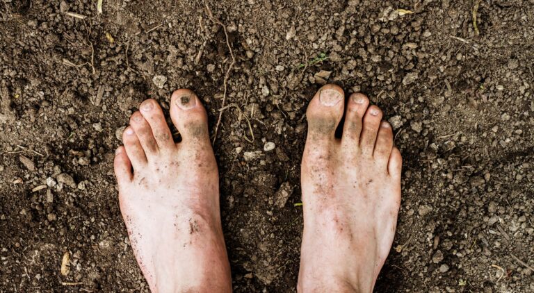 Sermon: Soap for Christmas