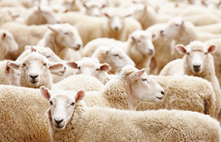 Sermon: Working Smarter, Not Harder